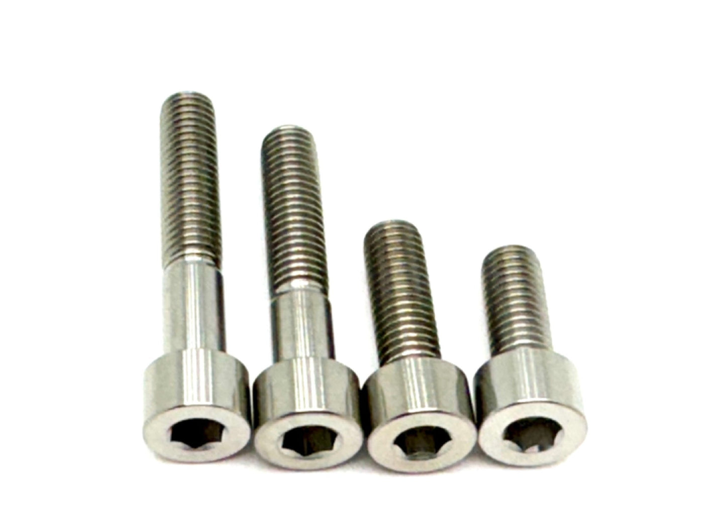 Titanium Motor Bolts - E-Ride Pro (all models)
